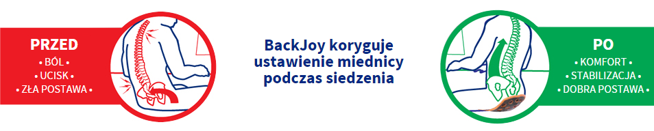 BackJoy Posture Plus